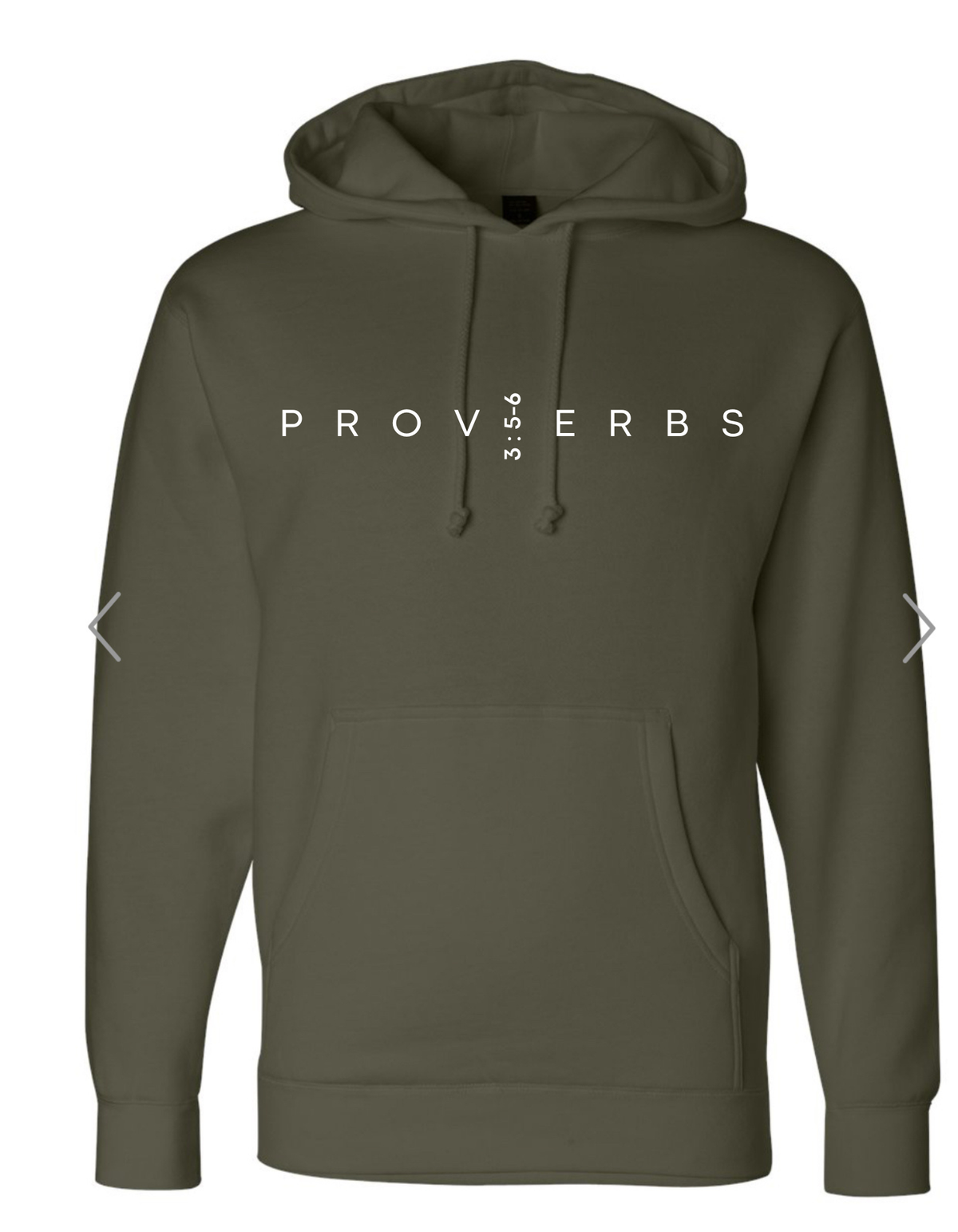 Proverbs Hoodie-Adult Premium, product photo