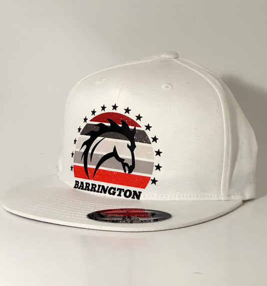 D- Money Hat