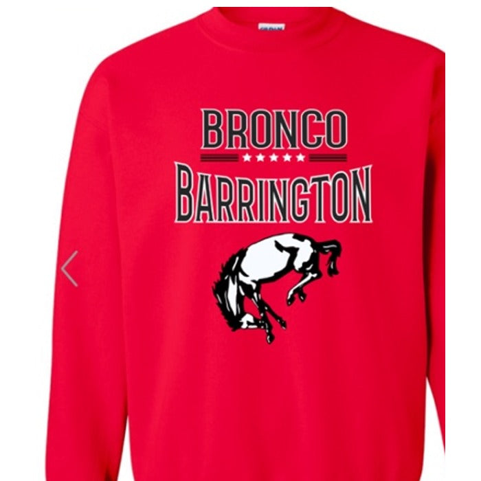 Barrington Broncos design 10 shown on apparel