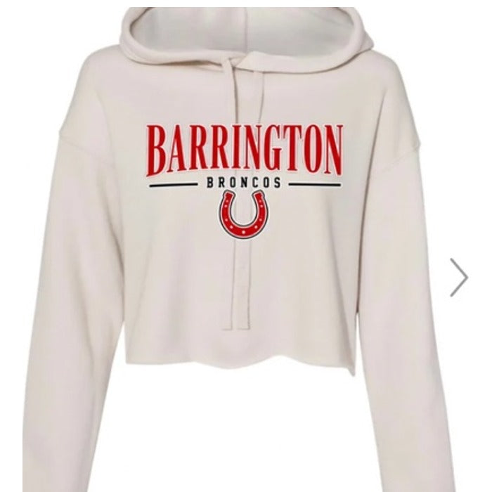 Barrington Broncos design 11 shown on apparel