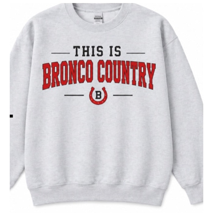 Barrington Broncos design 15 shown on apparel