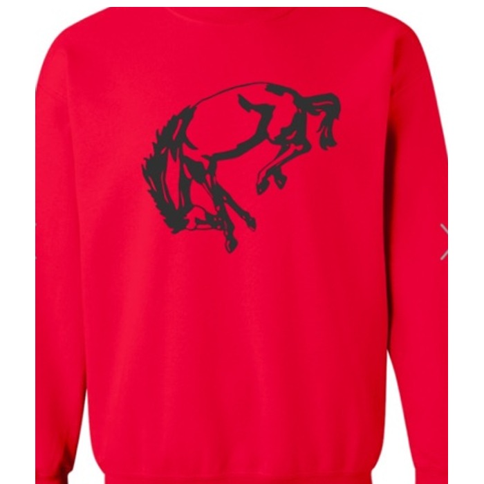 Barrington Broncos design 22 shown on apparel