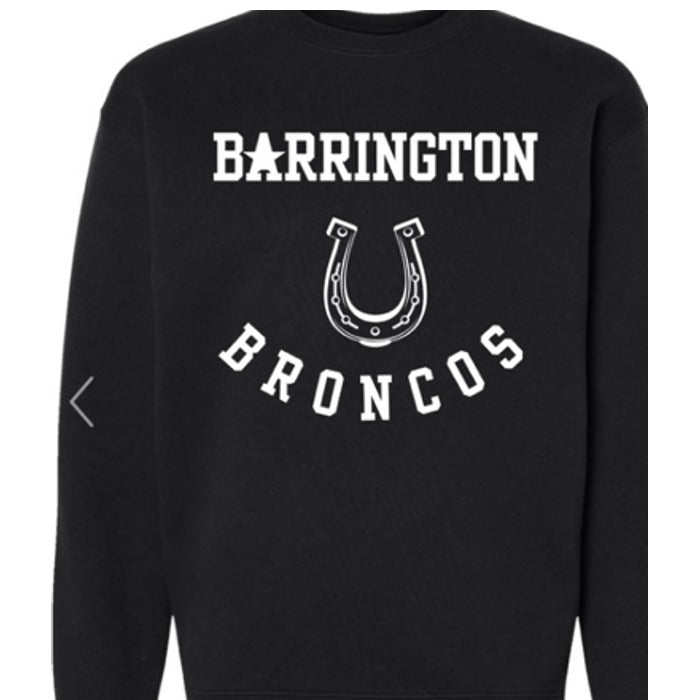 Barrington Broncos design 4 shown on apparel