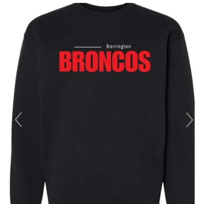 Barrington Broncos design 9 shown on apparel