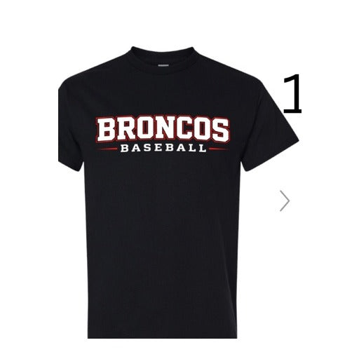 Barrington Baseball design 10