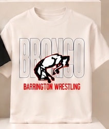 Wrestling design 14