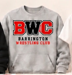 Wrestling design 2