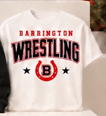 Wrestling design 9